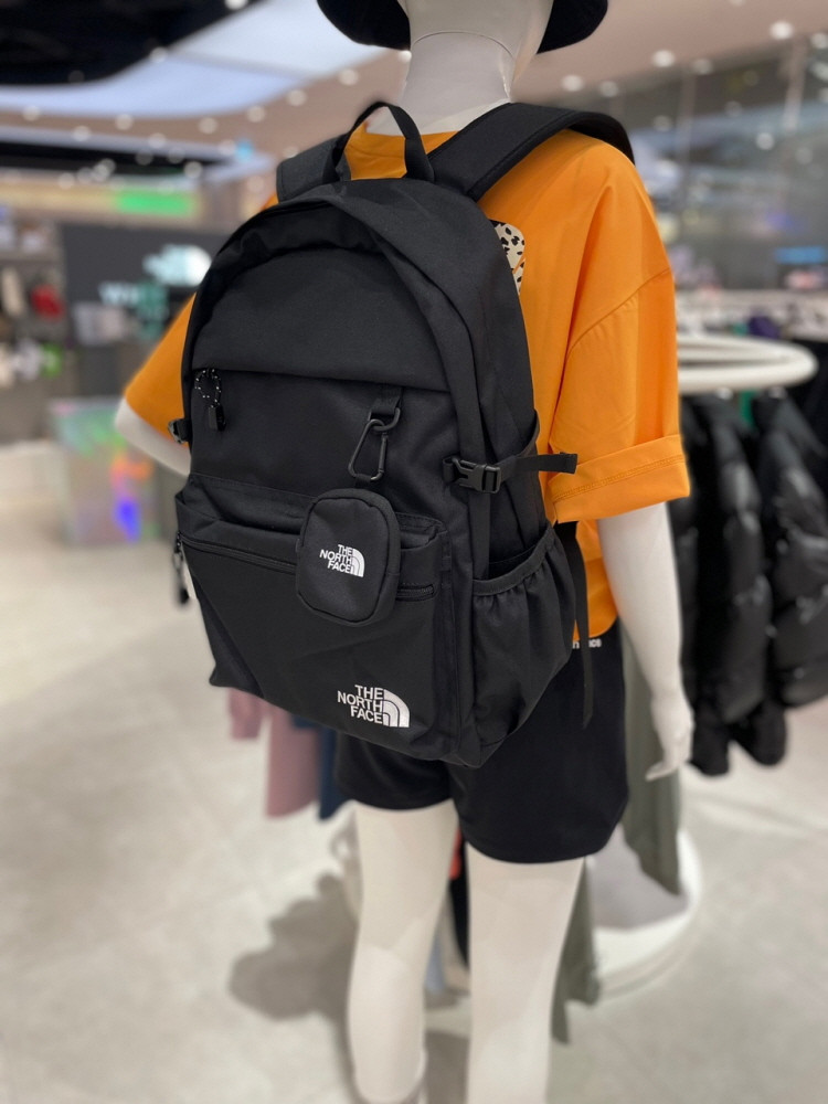 アニメショート THE NORTH FACE RIMO LIGHT BACKPACK - 通販 - www